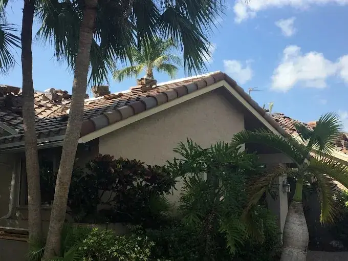 Terracotta barrel tile roof on a tan home framed by palms