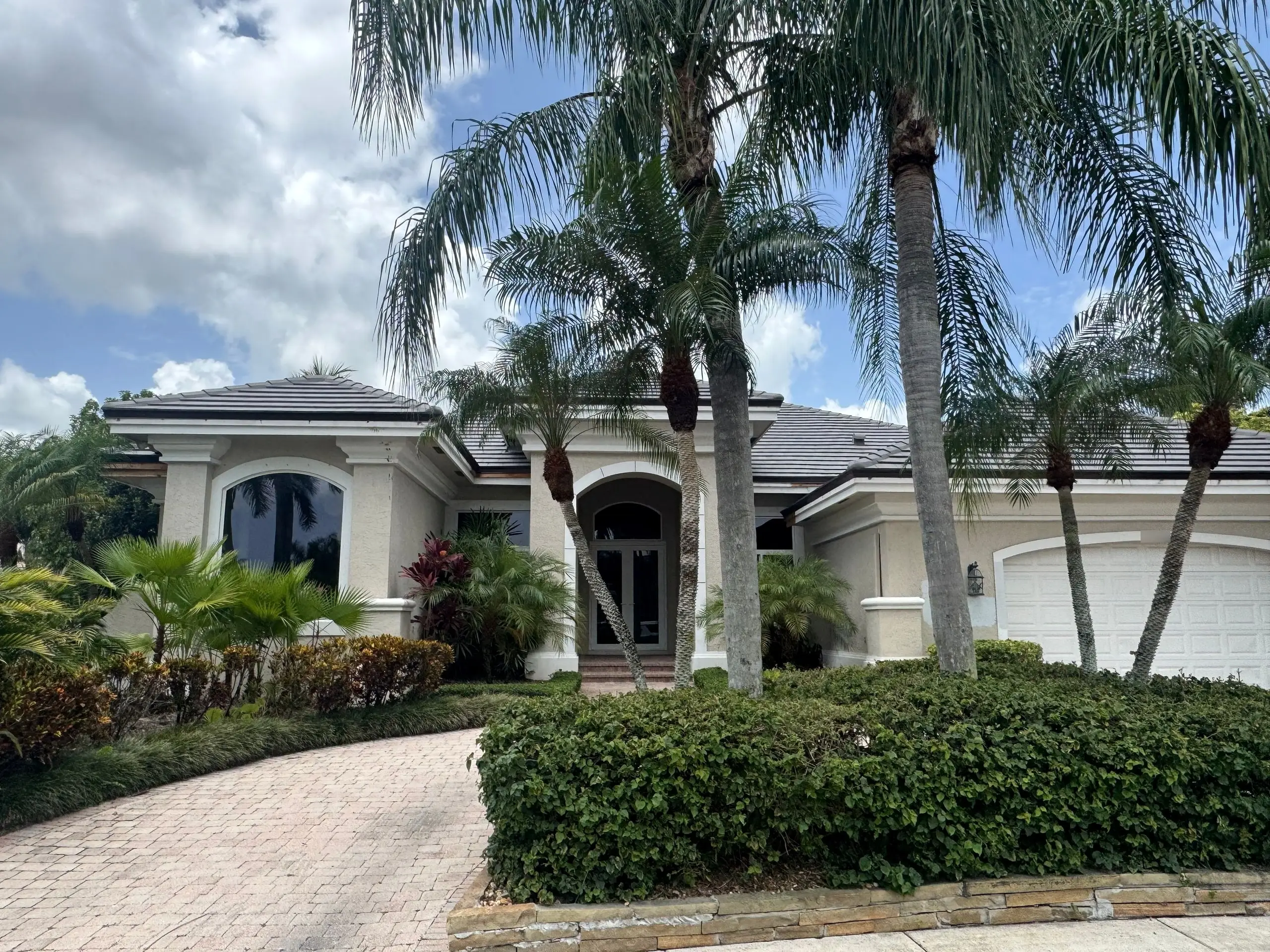 Single-story stucco home with a finished gray flat-tile roof behind tall palms and a clipped hedge