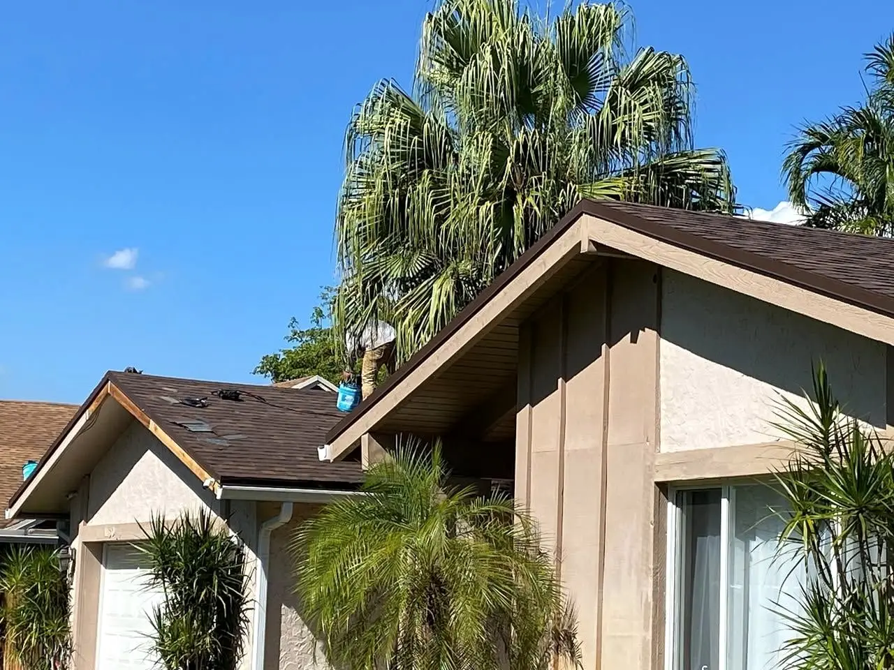 New dark shingles on two roof slopes framed by palm fronds